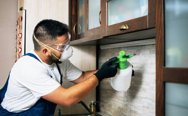 Professional exterminator in protective workwear spraying pesticide in apartment kitchen.