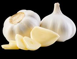 descarga - 2026-02-20T090822.848